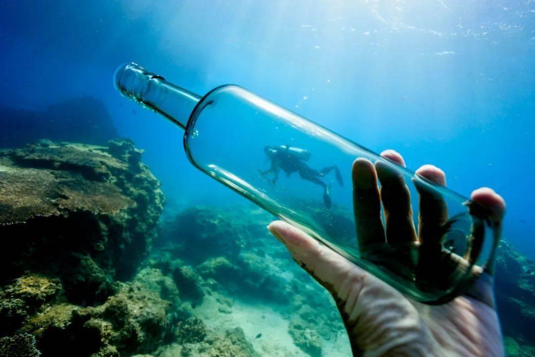 共商人才选拔之路——高校与高中协同育人研讨会在临清开幕